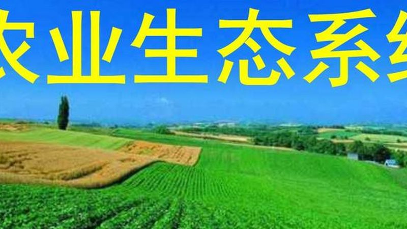 农业种植技术员证补贴政策：解读与影响**
