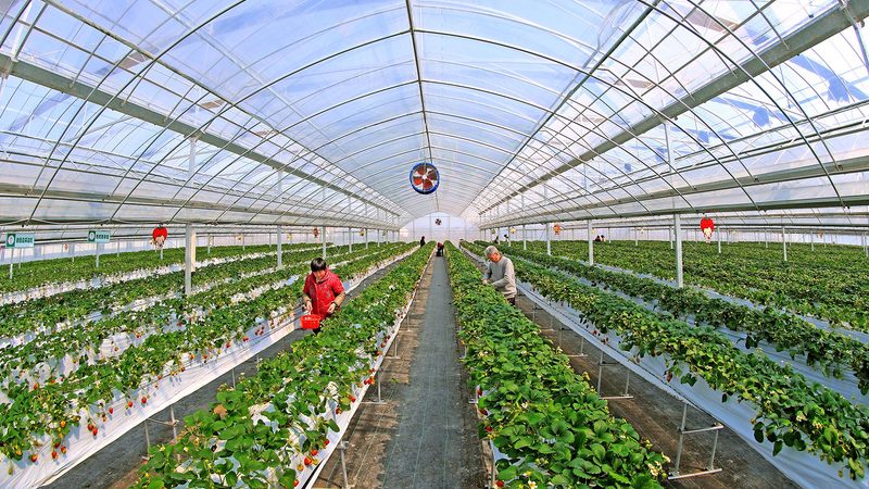 合作社农机补贴价格范围全解析：补贴政策与选购要点