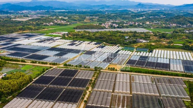 合作社财务管理制度范本：构建稳健财务体系的基石