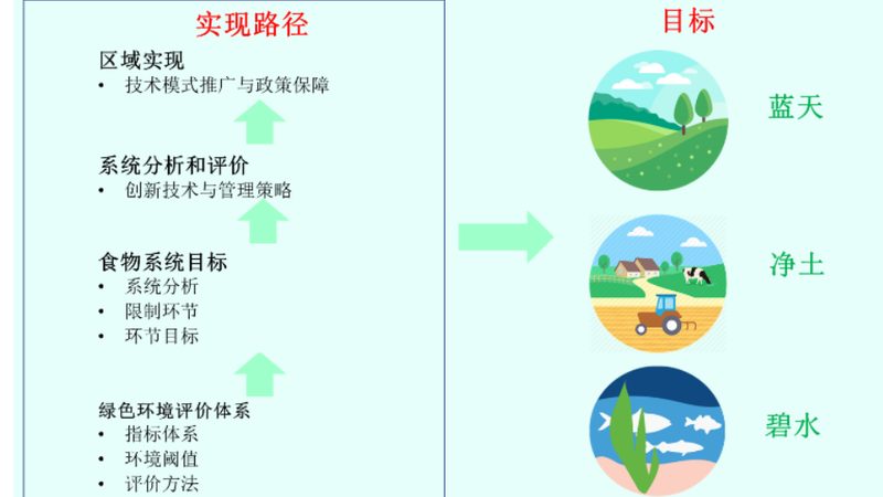 合作社财务管理的规范之路：制度范本解析
