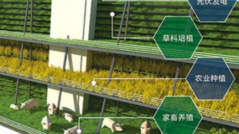 果蔬配送中心投资预算：关键因素解析**