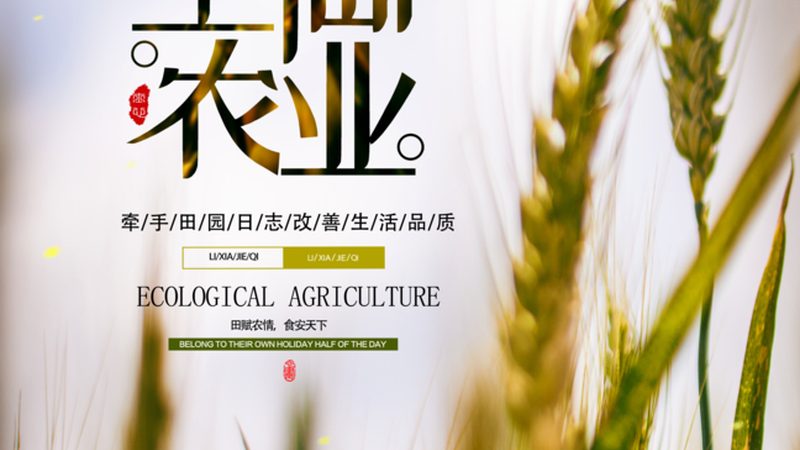 合作社加盟代理：从选对模式到避开暗坑
